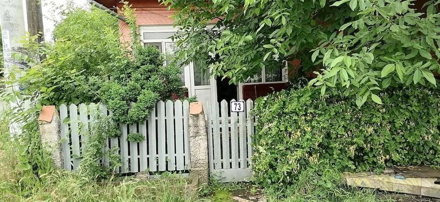 Casă cu Teren 770 Mp în Naipu