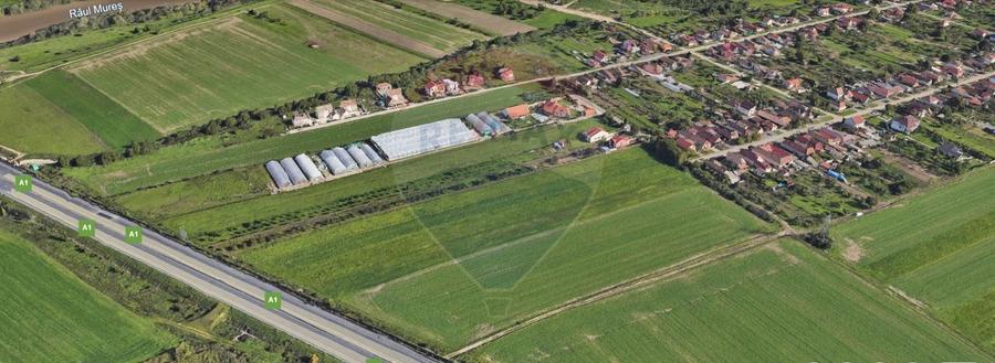 Teren agricol extravilan de 5316 mp, în Aradul Nou