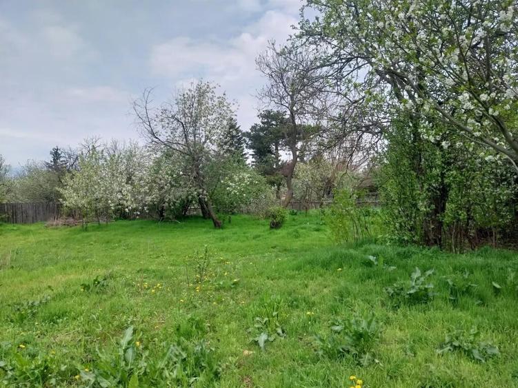 Casă cu 3 camere în Boghești