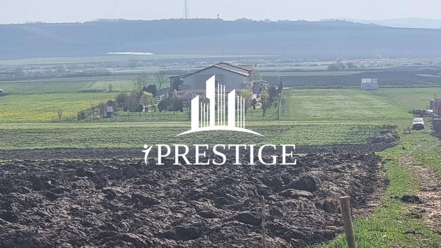 Teren agricol extravilan de 10000 mp, în Șura Mică