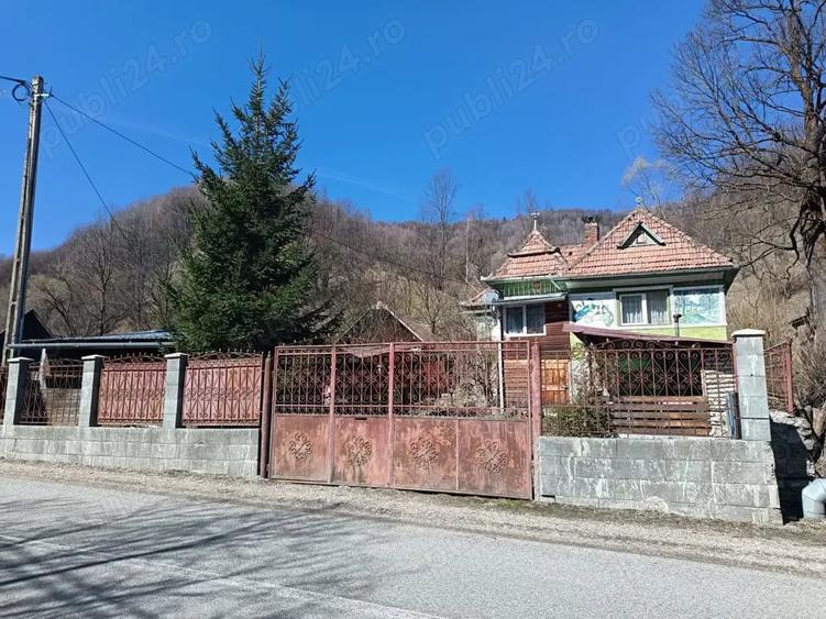 Casă cu 3 camere în Muntele Băișorii