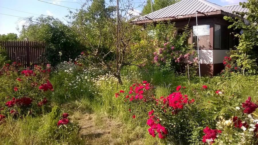 Casă cu 3 camere cu Teren 1020 Mp în Stănești