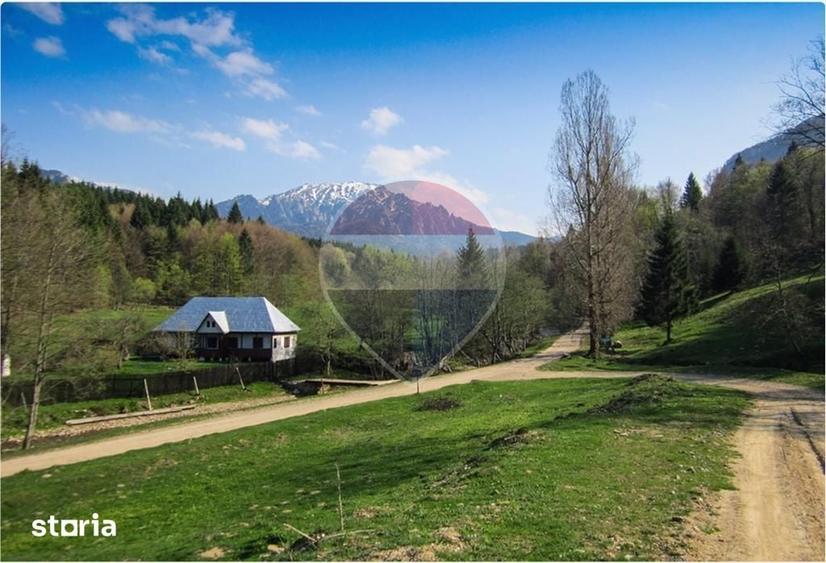 Teren 6000 mp, Valea Dalghiului - Vama Buzaului - vedere catre Ciuca? - 3