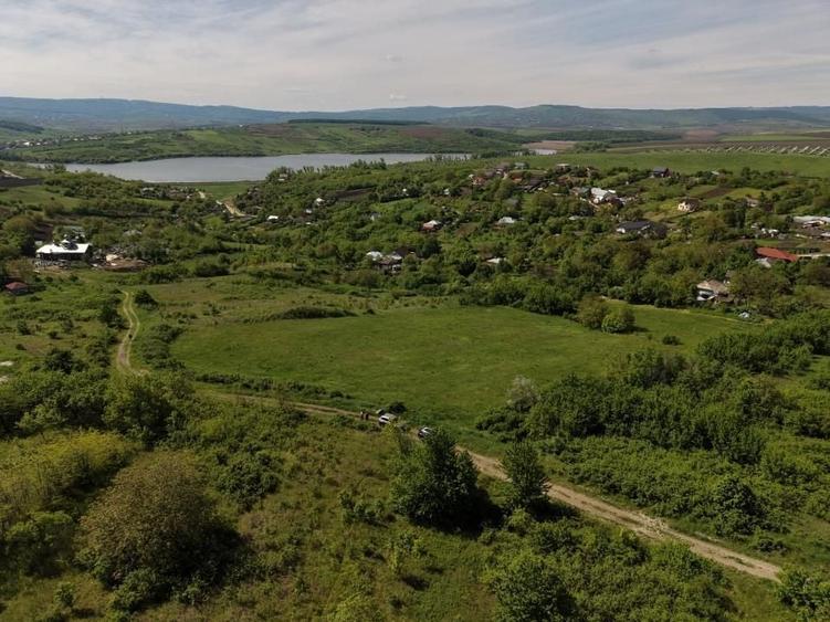 Teren Construcții intravilan de 8000 mp, în Ciurbești
