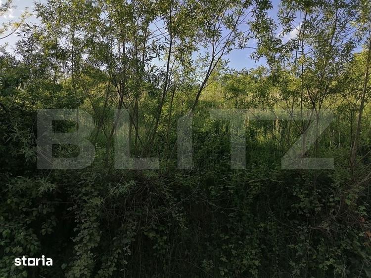 Teren de 14400 mp, în Voinești