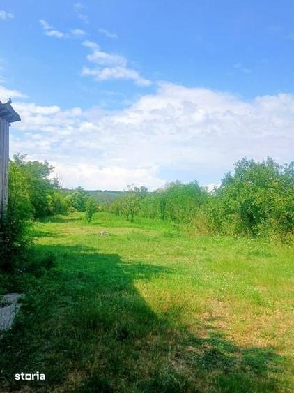 Casa de vinzare. - 6