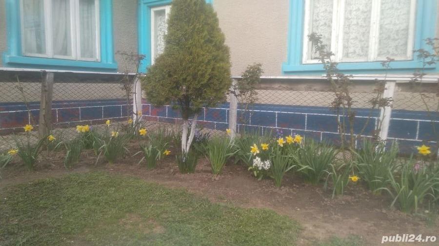 Casă cu 5 camere în Tomis Plus