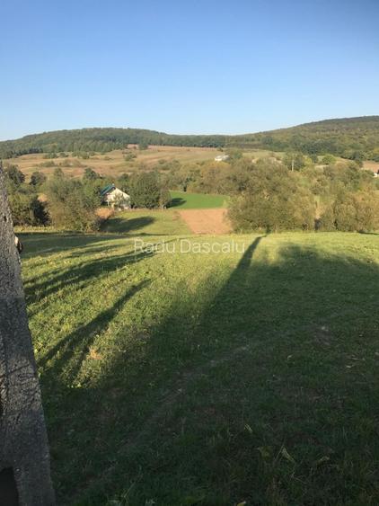 Vând 2500 mp pământ intravilan in Greațca Călinești
