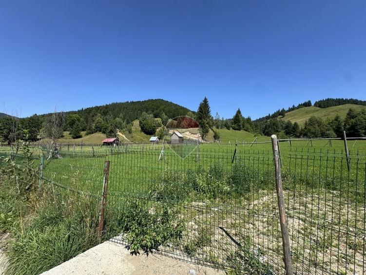 Teren Construcții intravilan de 7670 mp, în Borca