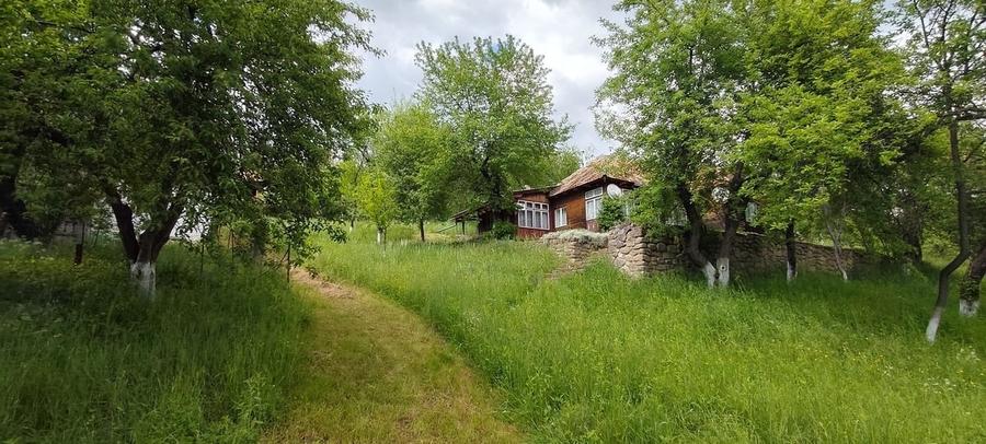 Casă cu 4 camere cu Teren 455 Mp în Central