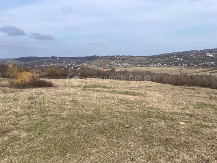 Teren Construcții intravilan de 11300 mp, în Bârnova