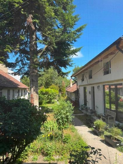 Apartament cu 2 camere decomandat în Dosu Bricii
