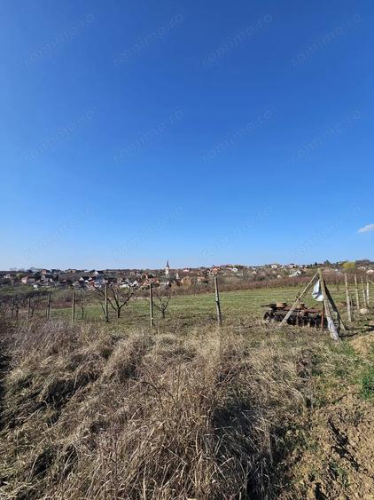 Teren de 850 mp, în Săldăbagiu de Munte