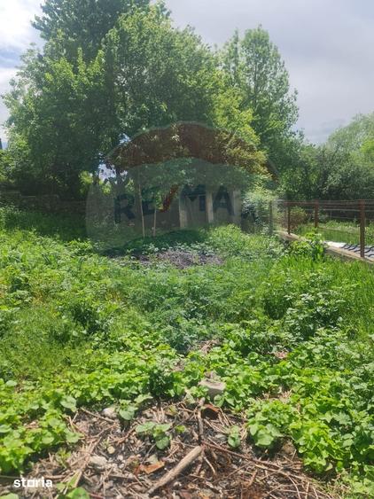 Spațiu comercial, de 1,650 mp, în Baia de Fier