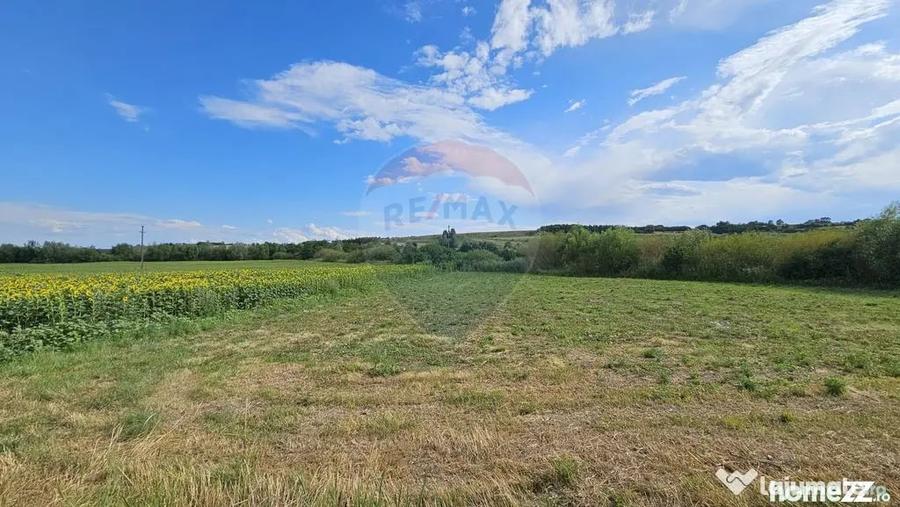 Teren de 12000 mp, în Pădureni (Șendriceni)