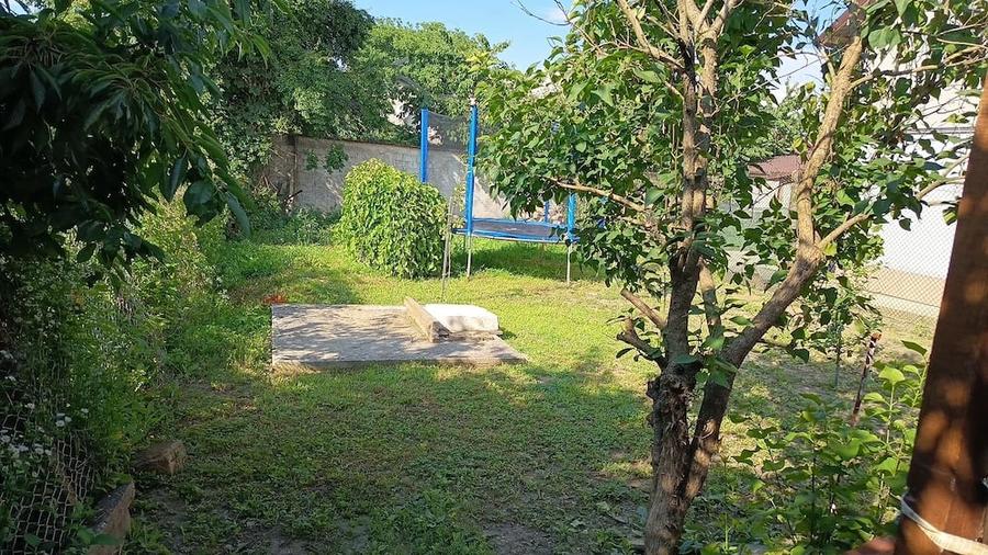 Casa Vii?oara 115000euro negociabil - 5