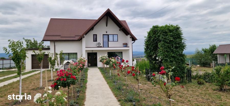Casă cu 5 camere cu Teren 5400 Mp în Vadu Moldovei