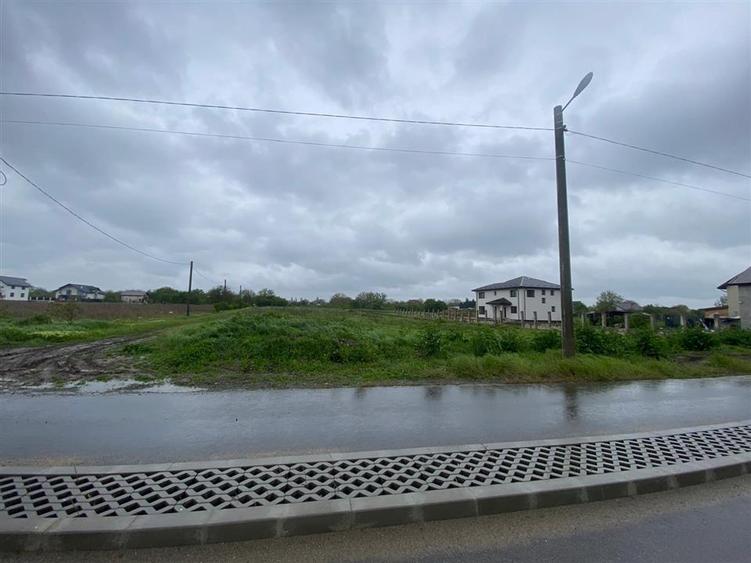 Teren Construcții intravilan de 3993 mp, în Ciorogârla