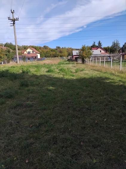 Teren Construcții intravilan de 2600 mp, în Livezile