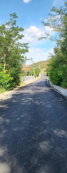Teren de 2900 mp, în Căianu