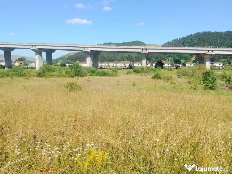 Teren extravilan Luna de Sus Cluj Floresti 1400mp - 20