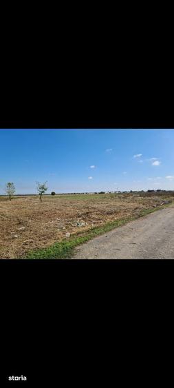 Teren de vanzare, acces asfaltat, 1000mp - 8