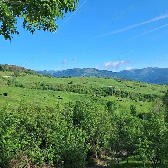 Teren de 2500 mp, în Central