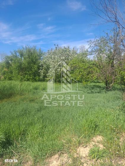 Casă cu 2 camere cu Teren 5075 Mp în Foeni