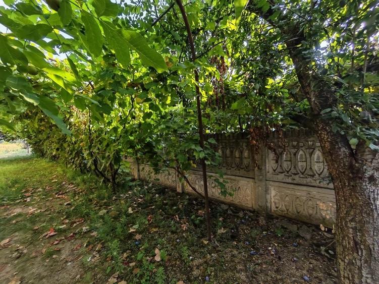 Casă cu 4 camere în Osica de Sus