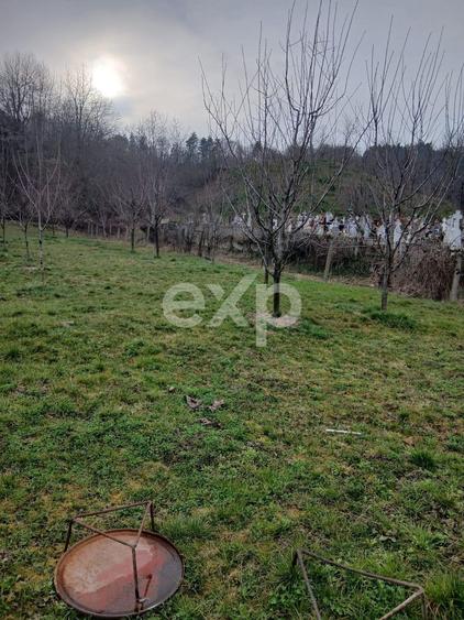 Teren Construcții intravilan de 1600 mp, în Dragodănești