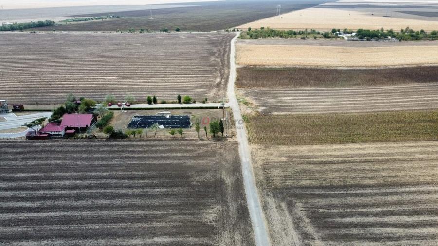 Teren Construcții intravilan de 9000 mp, în Frumușani