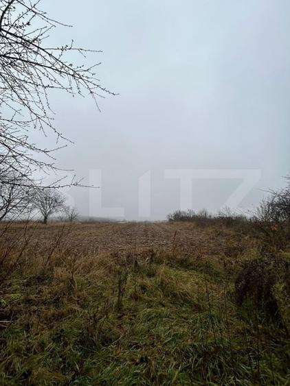 Teren Construcții intravilan de 7200 mp, în Nord-Vest