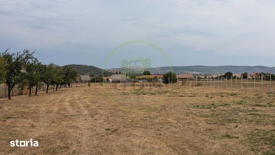Casă cu 5 camere cu Teren 3046 Mp în Gura Râului