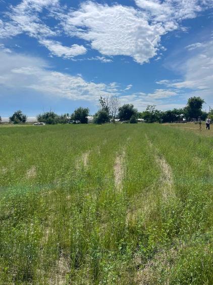 Teren de 800 mp, în Valea Dragului