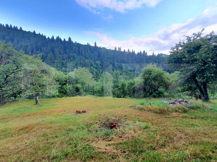 Teren Construcții intravilan de 3100 mp, în Sud