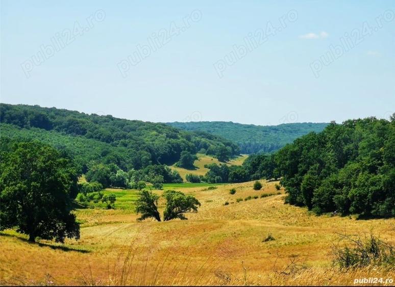 Teren de 50000 mp, în Central