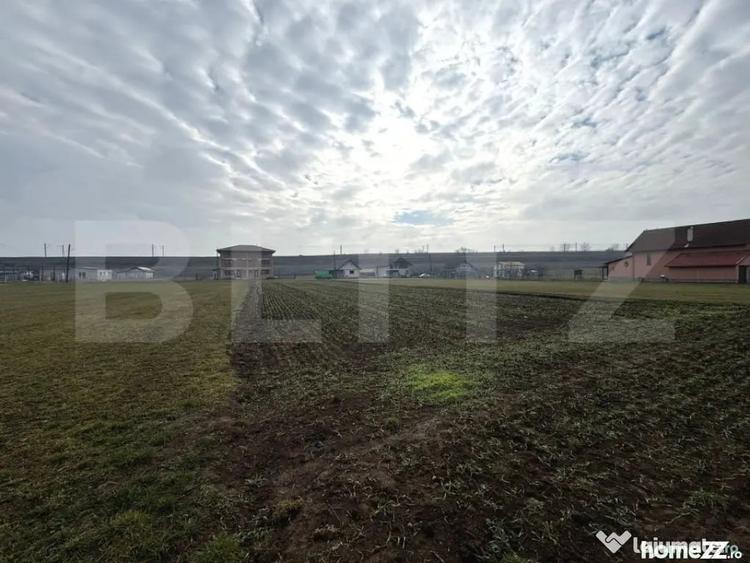 Teren de 1597 mp, în Vințu de Jos
