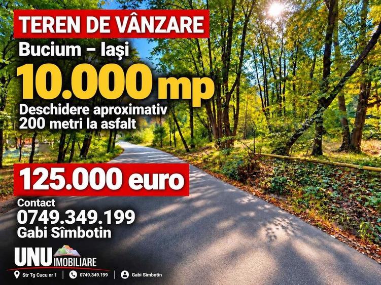 Teren extravilan de 10000 mp, în Bucium