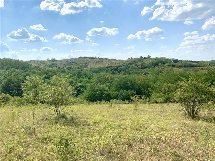 RECO Teren agricol 30.212 mp – ideal pentru livada sau plantatie de zmeura - 4