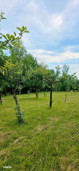 Casă cu 3 camere cu Teren 2952 Mp în Cerna