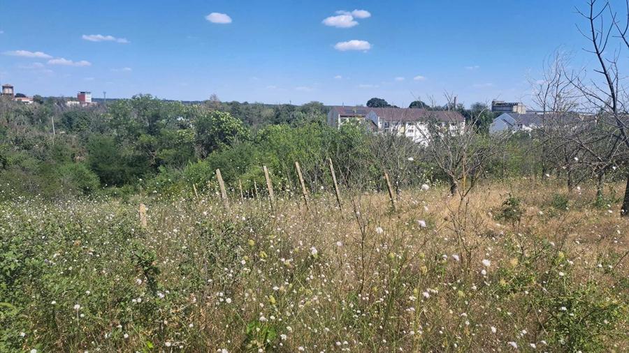 Spațiu comercial, în Nord