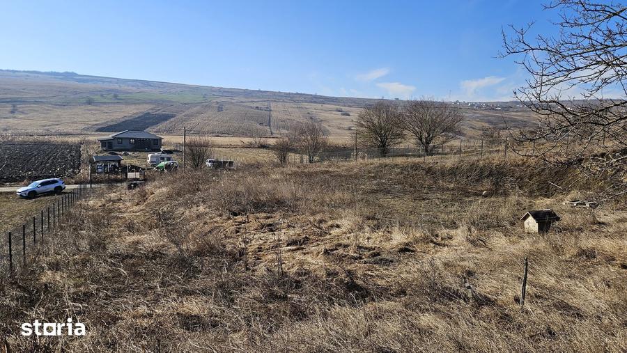 Teren de 5665 mp, în Gheorgheni