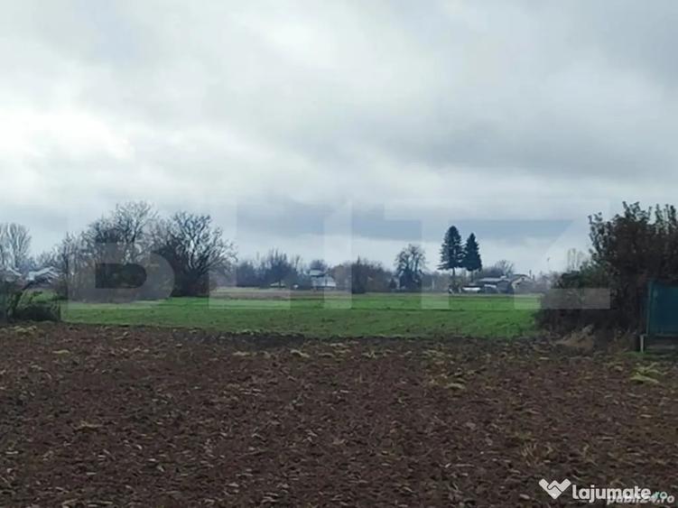 Teren 1 hectar Intravilan + Extravilan | Acces facil | P - 3