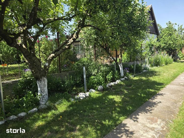 Casă cu 7 camere cu Teren 1230 Mp în Borș
