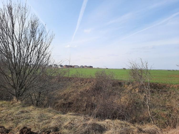 Teren Construcții intravilan de 42600 mp, în Corbeanca