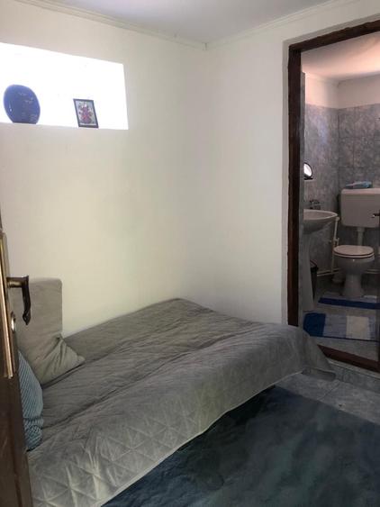 Casă cu 3 camere în Lupșanu