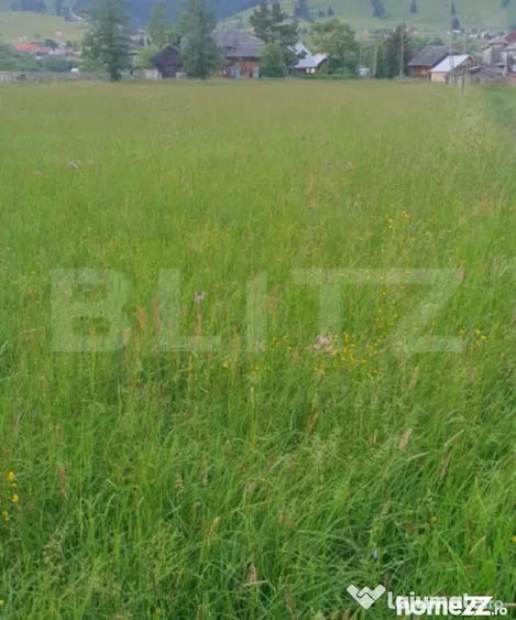Casă cu 3 camere cu Teren 5747 Mp în Central