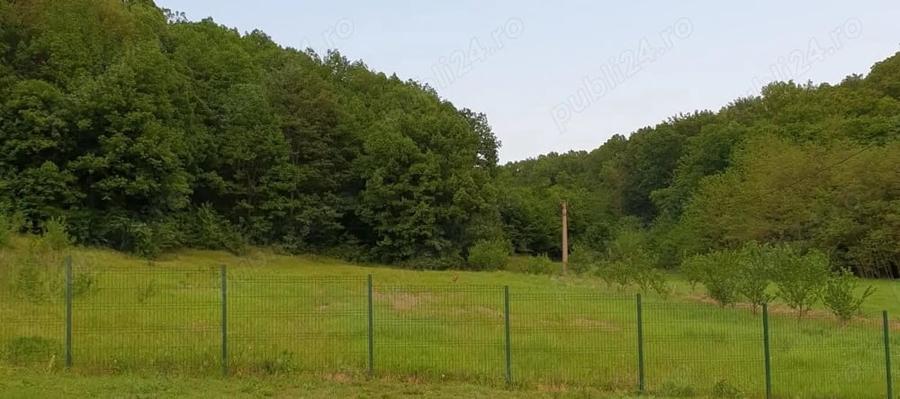 Teren de 1690 mp, în Răchițele de Jos