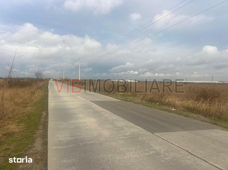 Teren de 22800 mp, în Joița