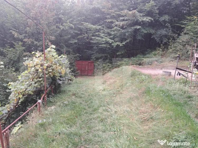 Casă cu 2 camere cu Teren 1000 Mp în Vulcan